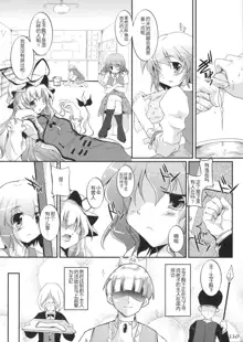 Touhou Kutsushita Bon Extra, 中文