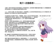 Touhou Kutsushita Bon Extra, 中文