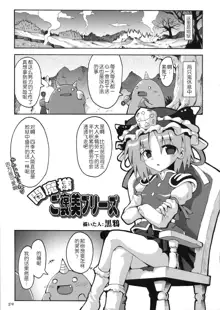 Touhou Kutsushita Bon Extra, 中文