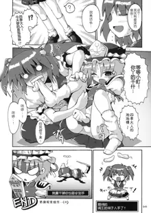 Touhou Kutsushita Bon Extra, 中文