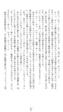 晒された痴漢捜査 牝偵W調教, 日本語