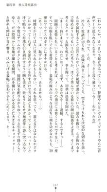 晒された痴漢捜査 牝偵W調教, 日本語