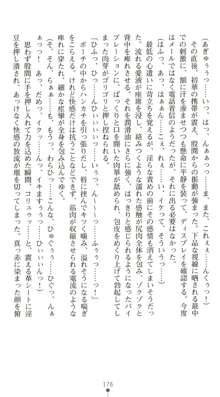 晒された痴漢捜査 牝偵W調教, 日本語