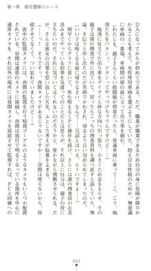 晒された痴漢捜査 牝偵W調教, 日本語