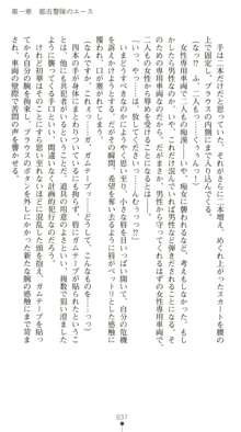 晒された痴漢捜査 牝偵W調教, 日本語