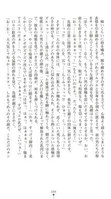 晒された痴漢捜査 牝偵W調教, 日本語