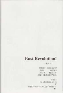 Bust Revolution!, 日本語