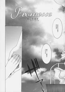 Promesse 約束の時, 日本語