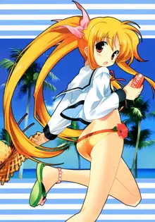 COLORFUL NANOHA, 日本語