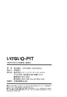 いけないQ-PIT, 日本語