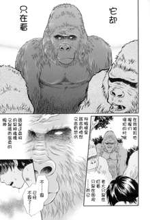 Gin no Se ~Silverback~, 中文