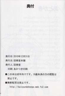 夜の家れもんへようこそ！！, 日本語