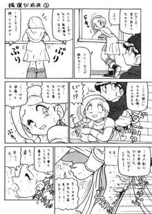 没リヌス禁 -DQ下ネタマンガ劇場-, 日本語