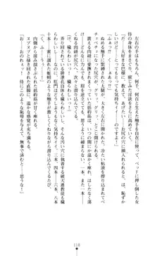 学園戦姫 巴 淫辱の下剋上, 日本語