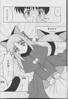 BLACK CATS第14号 反転黒猫娘, 日本語