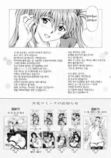 Ecchi wa shutsugeki no mae ni…, 한국어