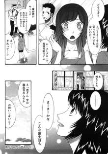 淑女の融点, 日本語