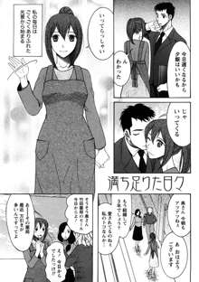 淑女の融点, 日本語