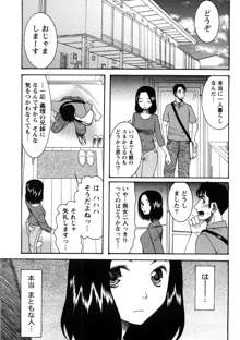 淑女の融点, 日本語