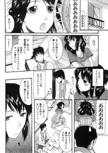 淑女の融点, 日本語