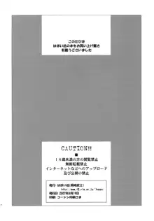 アノマリーゼロ, 日本語