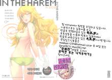 IN THE HAREM A SIDE, 한국어