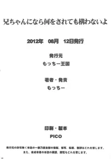 兄ちゃんになら何をされても構わないよ, 日本語