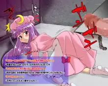 東方プリズン～紅魔編～, 日本語