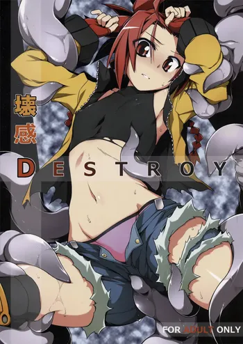 壊感DESTROY