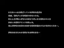 催眠操作～催眠術で通りすがりの女子達をやりたい放題!～, 日本語