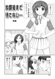 女子高生の処女喪失, 日本語