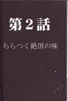 ヴァージントレイン, 日本語