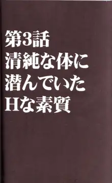 ヴァージントレイン, 日本語