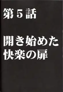 ヴァージントレイン, 日本語