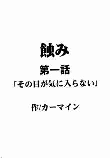 侵食総集編, 日本語