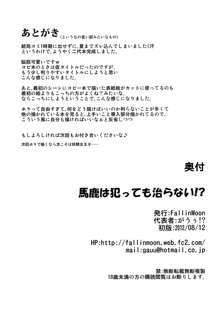 馬鹿は犯っても治らない!?, 日本語