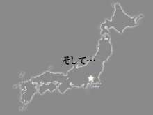 えぇじゃないか。～平成日本の大発狂～, 日本語