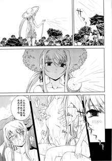 Bara Seiyoukan 1 Ch. 6, 中文