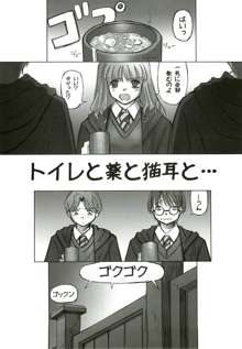 I Love Hermione, 日本語