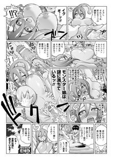 The Report of Monster Girls 01-05, 日本語