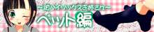 お姉ちゃんの電気アンマでおもらししちゃえ!, 日本語