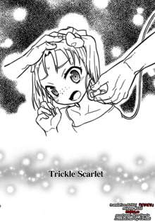 Trickle Scarlet, English