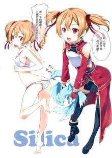 Sword Art Heroines (decensored), 中文