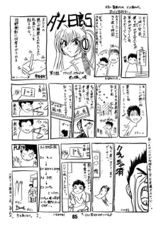 涼子先生式穴桜見限りテク, 日本語