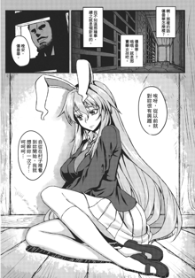 Shigyaku Gensoukyou ~Reisen Udongein Inaba~, 中文