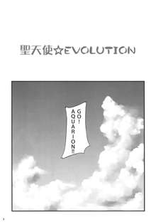 Sei Tenshi☆EVOLUTION, 中文