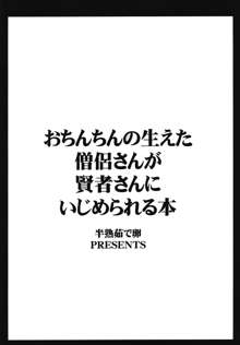 おちんちんの生えた僧侶さんが賢者さんにいじめられる本, 日本語