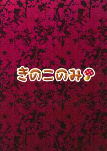 召しませ小悪魔2, 日本語