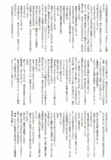 アストラルバウト Ver.6, 日本語