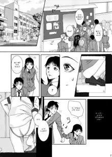 Nanase Shoujo no Jikenbo Case, 한국어